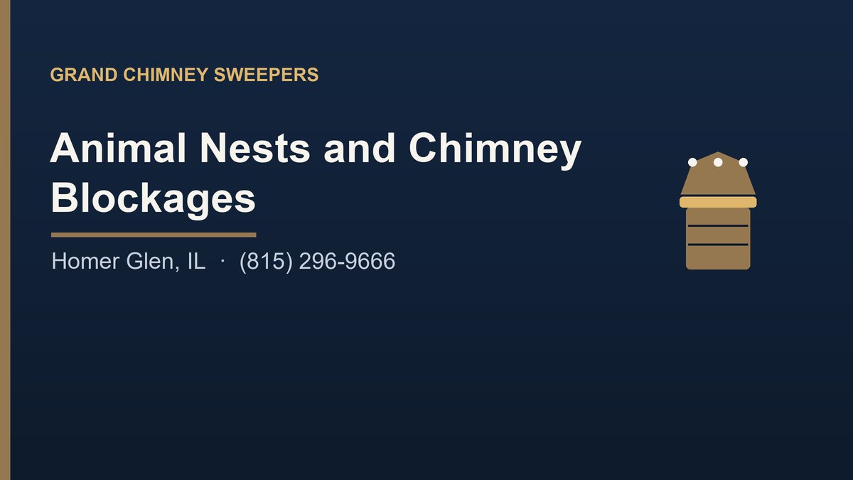 You are currently viewing Animal Nests and Chimney Blockages in Homer Glen, IL